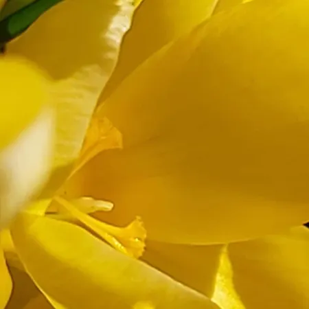 Feriehus House Of Ardennes And Flowery Charm Libin