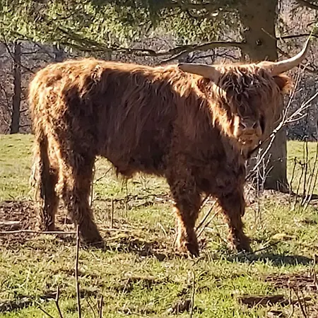 House Of Ardennes And Flowery Charm