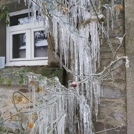 House Of Ardennes And Flowery Charm Semesterbostad *