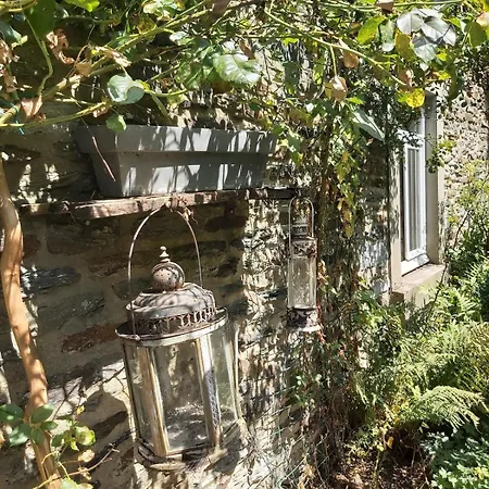 House Of Ardennes And Flowery Charm Semesterbostad Libin